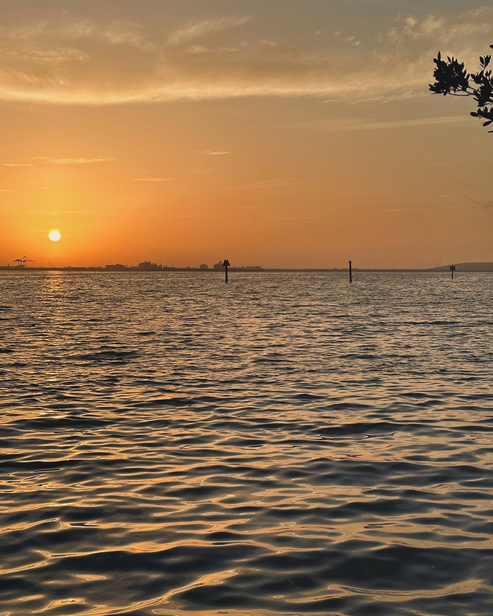 AbiLeads's tweet photo. Good morning! #loveyourlife #changeyourlife #luckygirl #abileads #CrazyConfident #baylife #tampa #tampabae #tampabay #tampaphotography #beinspired #beauty #LifeAfterLeapingIn #relocation #goodvibes #gratitude #gulfviews #happiness #ballastpoint #sunrise https://t.co/96CL6yzqEJ