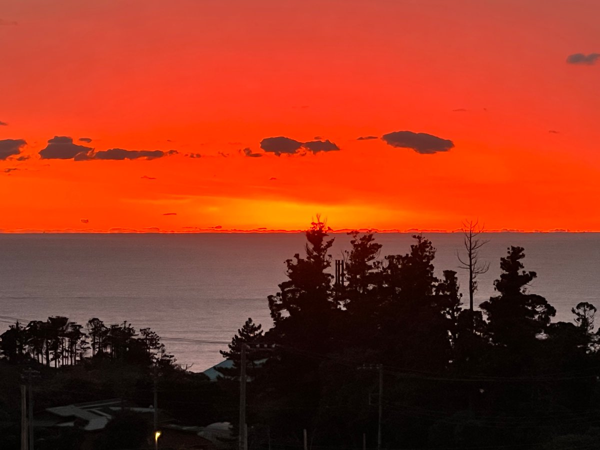 The setting sun, the horizon, the sea, the trees.
Would be strange without any one of them.
Together, they are beautiful more often than not.
#japanese #harmony #society