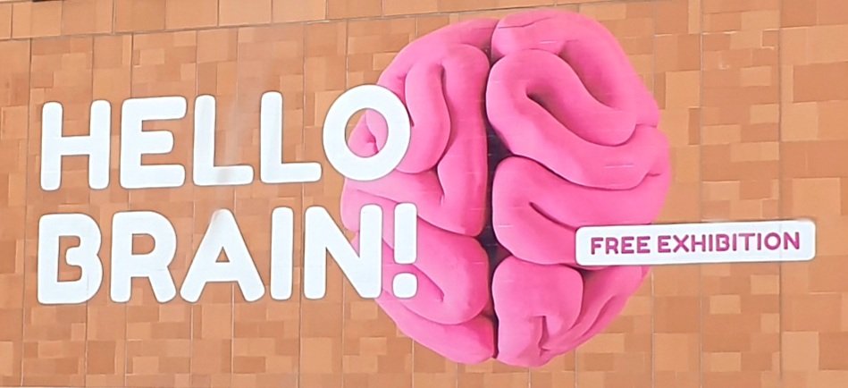 FredFli80762995's tweet image. Did you all know you're living in the past..
Why ?
Our brain makes the decision before we act..try the TV remote control test example..
The Mind boggles 
#ListenUpHub 
Lived Experience