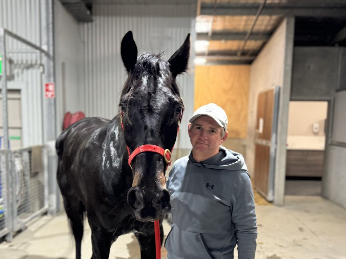 🥇The Nathan Hurst trained UNREAL FEELING has taken out the BOURKES HORSE RUGS PACE for Jye Coney.

🥈| CATCH THE SHARK
🥉| MY COURTELL

Congratulations 👏