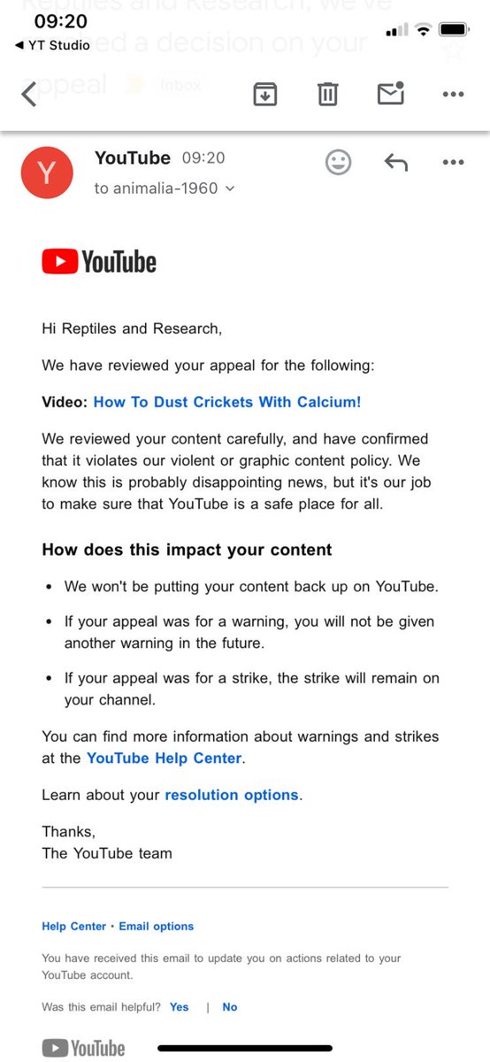 ReptileResearch's tweet photo. @TeamYouTube ive had a community guidelines warning which my appeal was instantly rejected. I teach people how to look after their pets, can you explain to me why putting calcium powder on a bug is a warning, but cockfighting videos that get millions of views isnt? A mistake? https://t.co/9PtDsyxJSU