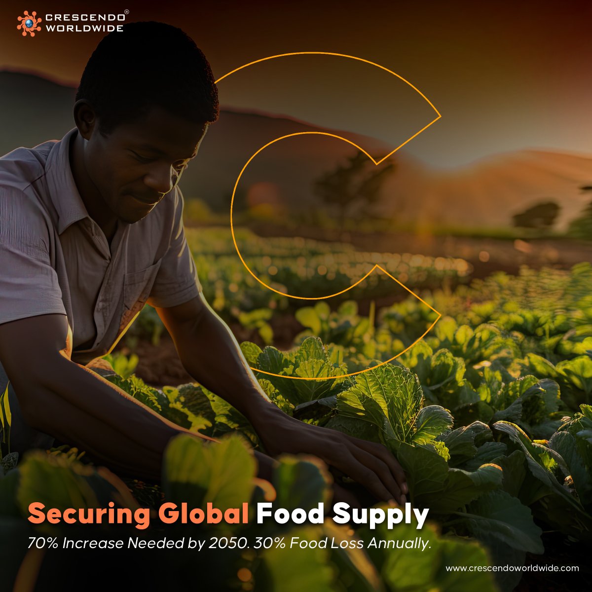 🌾🌍 Did you know? Over 30% of global food production is lost annually, impacting food security worldwide. 
At Crescendo Worldwide, we're tackling this challenge head-on. By 2050, global food production needs to increase by 70% to meet growing demands. 
Our approach integrates