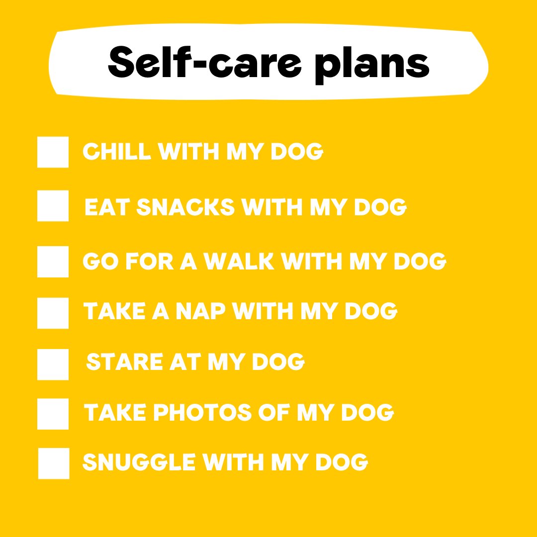 International Self Care Day: Dog Edition 🐶

Any more you'd add? 👇