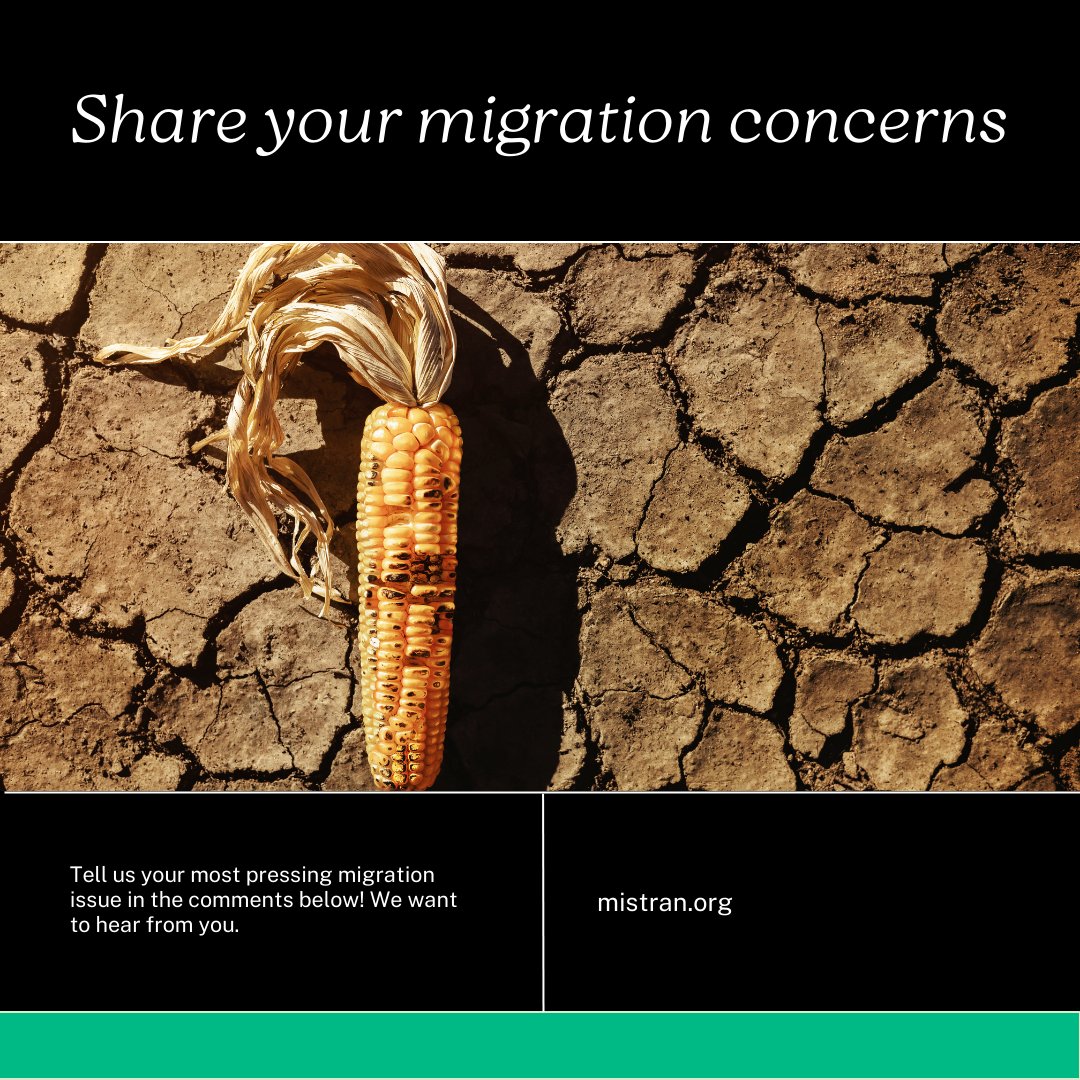 misotran's tweet photo. Tell us what's on your mind? 
#immigration #network https://t.co/k5il3BY4Cw