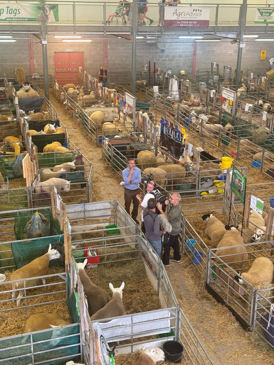 Nick Servini (@nickservini) on Twitter photo What happens when you try to turn sheep shed into makeshift TV studio, no idea what the boys were in heated debate about but I was keeping well out of it What happens when you try to turn sheep shed into makeshift TV studio, no idea what the boys were in heated debate about but I was keeping well out of it