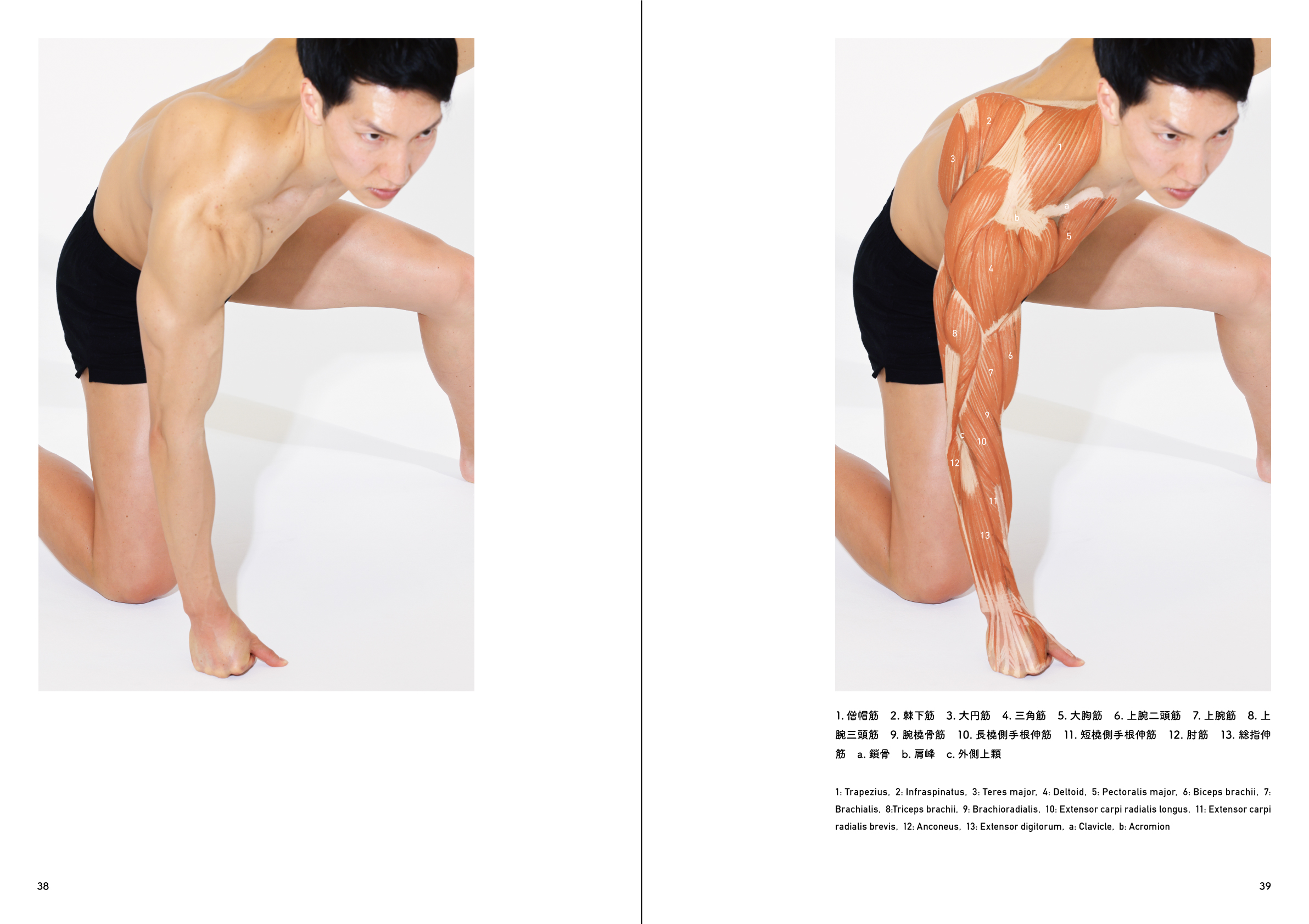 【値下中】アーティストのための体表解剖学　3冊セット　美術解剖学 値下中】アーティストのための体表解剖学 3冊セット