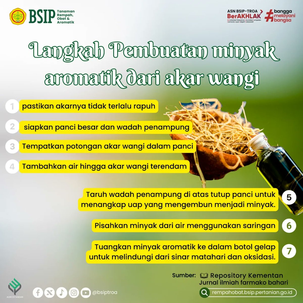 brmprempahobat's tweet image. #SobaTROA
Akar wangi atau vetiver merupakan tanaman hiperakumulator yaitu tanaman yang mampu tumbuh pada berbagai kondisi lingkungan. Tanaman ini biasanya dianggap sebagai tanaman liar.
Simak infografis berikut ini selengkapnya yaa..
#akarwangi
#libraryupdate
#agrostandar