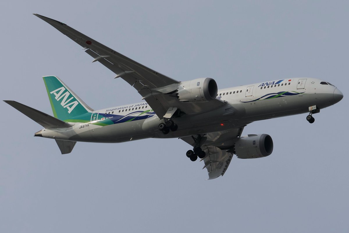 princessarete's tweet photo. ANA Green Jet 
#ANA
#JA874A
#NH852 https://t.co/KYYOUEovBM
