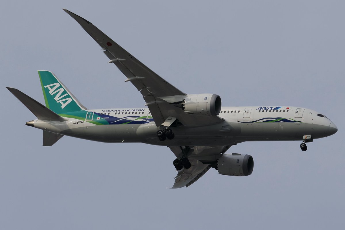 princessarete's tweet photo. ANA Green Jet 
#ANA
#JA874A
#NH852 https://t.co/KYYOUEovBM