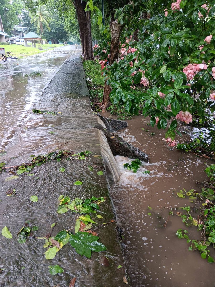 stpbuplb's tweet photo. BANTAY BAGYO | Typhoon #CarinaPH

Narito ang kasalukuyang lagay ng UPLB Campus ngayong hapon. 

Mag-ingat sa lahat ngayong paghagupit ng bagyong Carina. Magreport sa social media accounts ng STPB UPLB (@stpbuplb) o gamit ang aming form:  https://t.co/N9ktP6MRnv

#ReliefPH https://t.co/8nKxQpdJpi