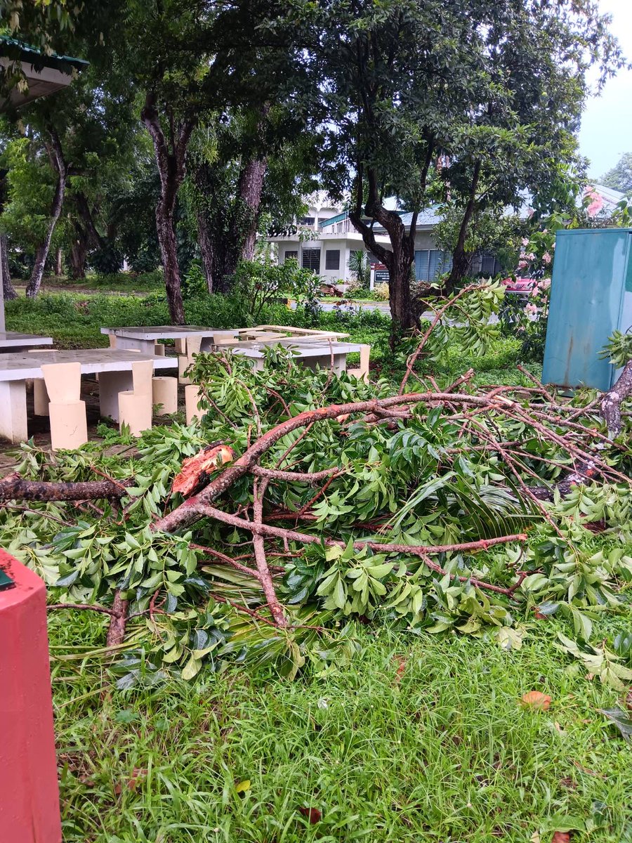 stpbuplb's tweet photo. BANTAY BAGYO | Typhoon #CarinaPH

Narito ang kasalukuyang lagay ng UPLB Campus ngayong hapon. 

Mag-ingat sa lahat ngayong paghagupit ng bagyong Carina. Magreport sa social media accounts ng STPB UPLB (@stpbuplb) o gamit ang aming form:  https://t.co/N9ktP6MRnv

#ReliefPH https://t.co/8nKxQpdJpi