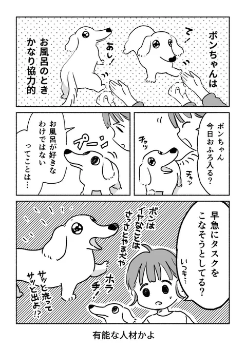 犬の思惑 