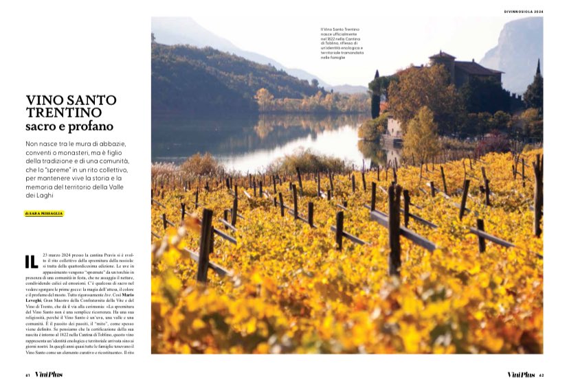 missaglia_sara's tweet photo. Vino Santo Trentino. Non nasce tra le mura di abbazie, conventi o monasteri, ma è figlio della tradizione e di una comunità, che lo “spreme” in un rito collettivo. Il mio articolo per Viniplus di @AisLombardia:
https://t.co/9O6aIoXt2E
.
#vinosantotrentino #nosiola https://t.co/7EdbZY2V9R