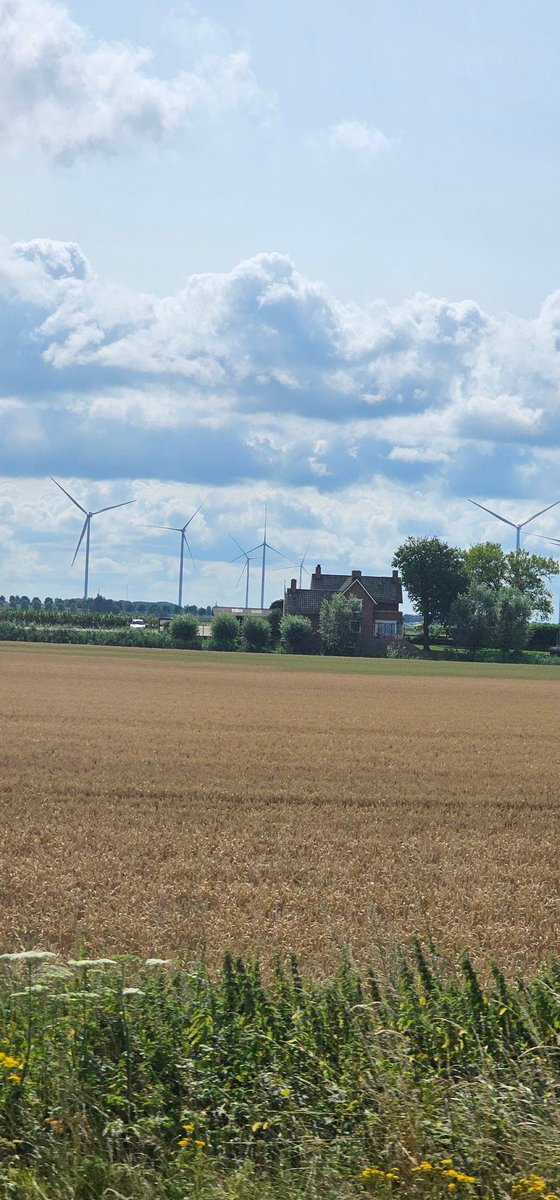 Ronbertito's tweet image. Mi...ren como a...fea el pai..jeje, así se ve un paisaje feo con los ventiladores #pejendejo