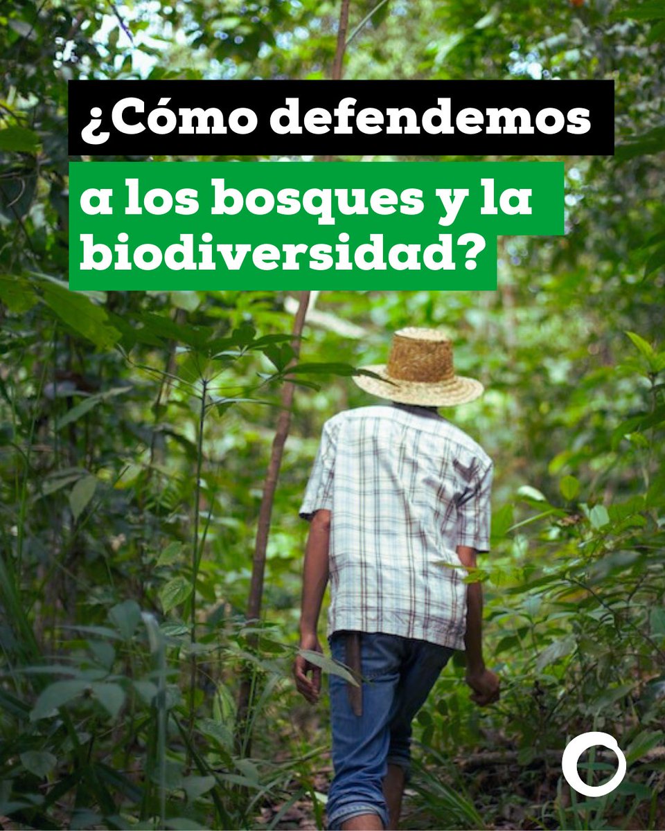 Amigos de la Tierra Internacional tweet media