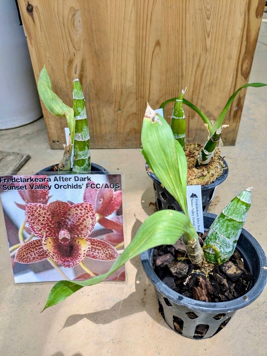 ガーデンセンター瑞穂店】 #サイエンスファーム 様より納品して頂いた