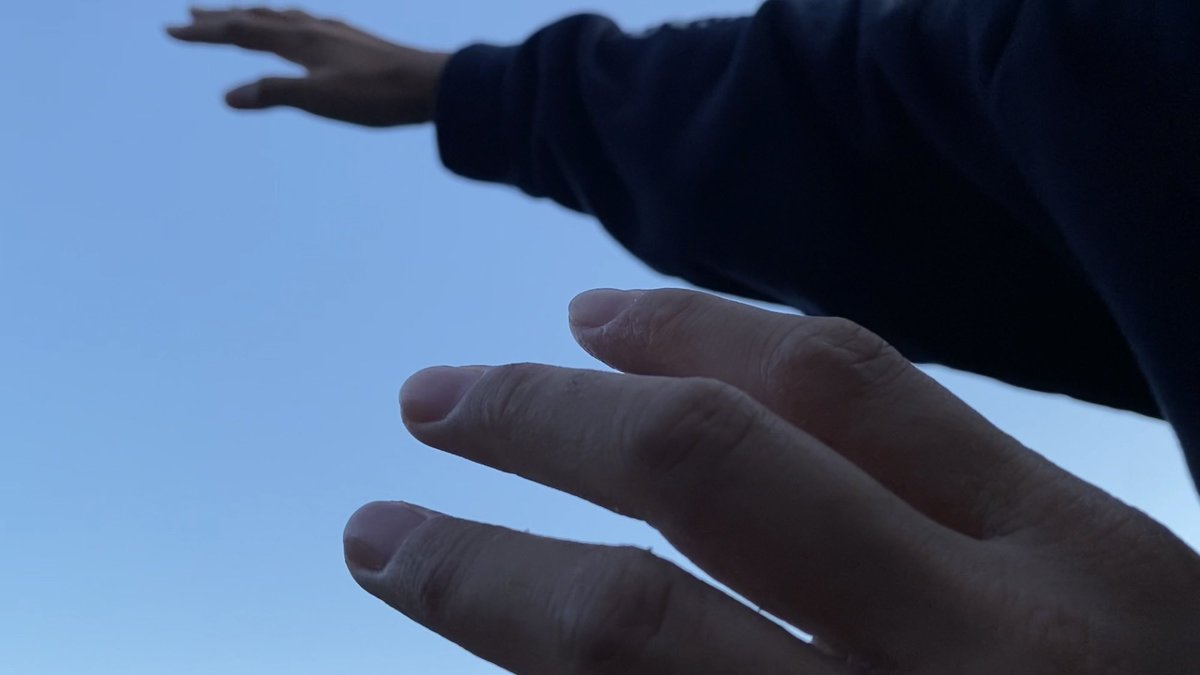 Anne Point tweet media