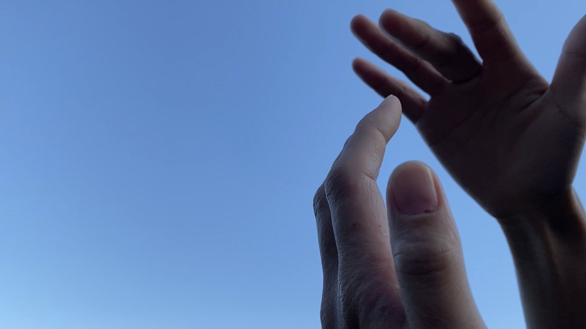 Anne Point tweet media