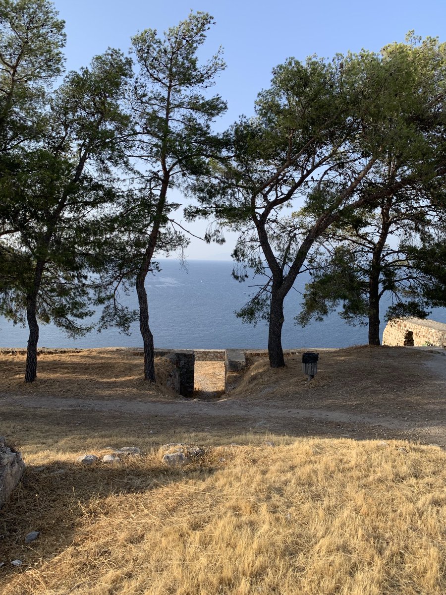 Angelo Korsanos tweet media