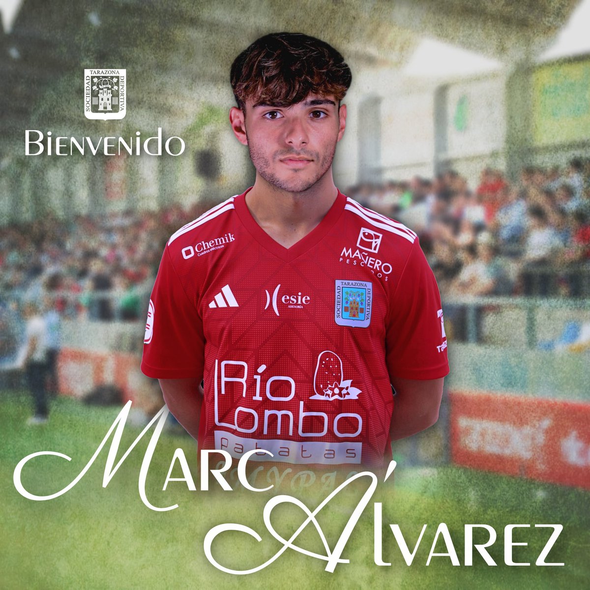 📝 𝕆𝕗𝕚𝕔𝕚𝕒𝕝
𝗠𝗮𝗿𝗰 𝗔́𝗹𝘃𝗮𝗿𝗲𝘇 | Nuevo jugador de la SDT
▫️ El joven atacante llega cedido por el Nàstic.
▫️ 23 años / Extremo izquierdo
▫️ 37 partidos en 1ªRFEF

#Marc2025