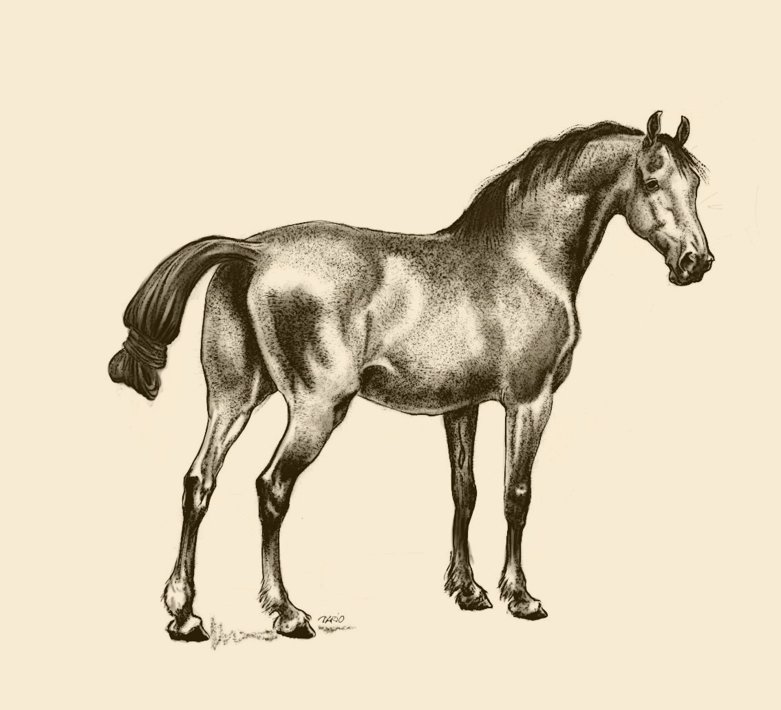 DVieletz's tweet photo. Some variations of a #Mypaint horse. https://t.co/QPQ19HHCZy