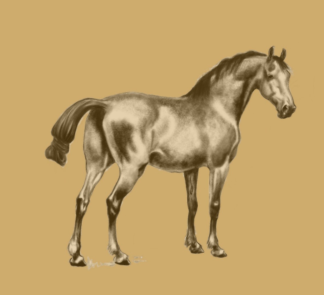 DVieletz's tweet photo. Some variations of a #Mypaint horse. https://t.co/QPQ19HHCZy