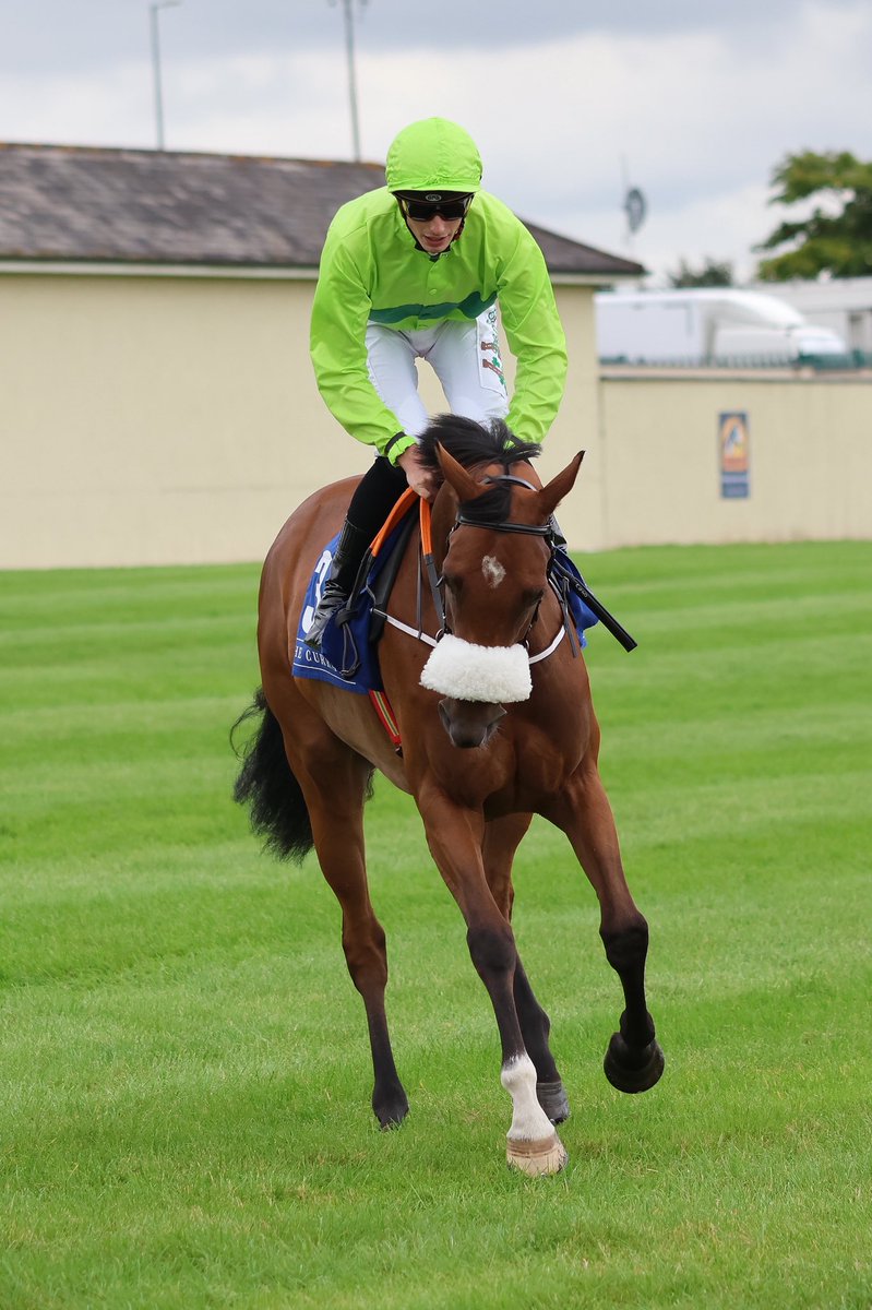 Jenny Lynch tweet media