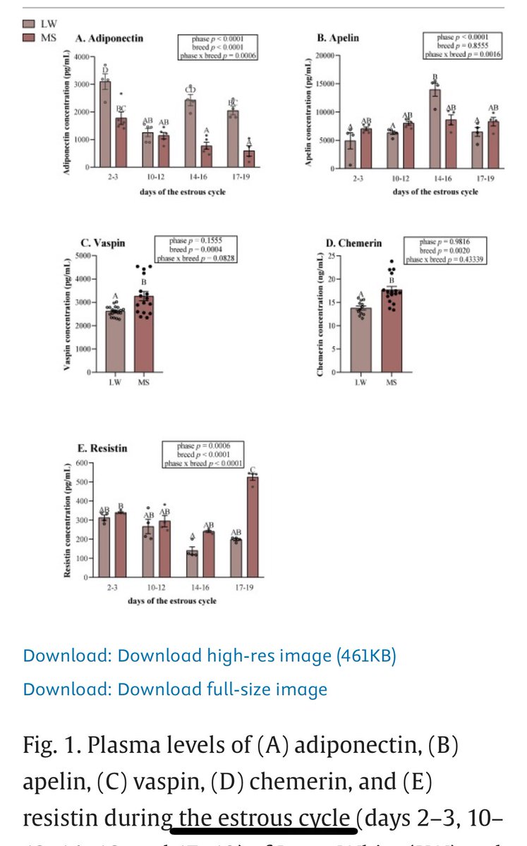 AdipokinesTEAM tweet media