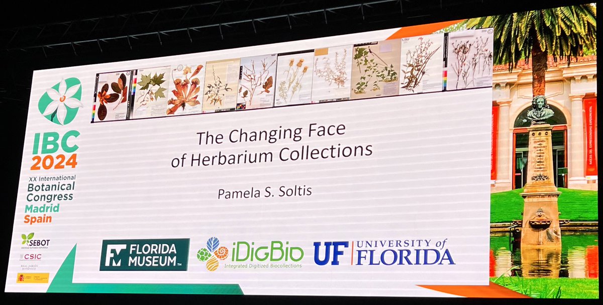 Carmen Acedo tweet media