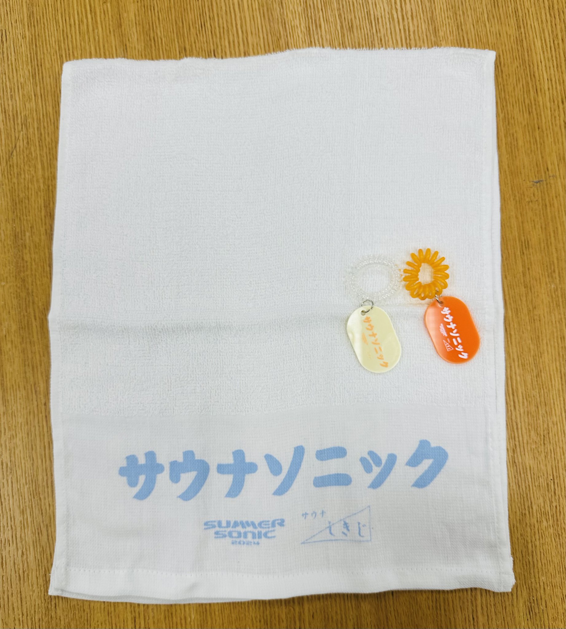 Paul Smith - SUMMER SONIC SONICMANIA バッグ ポンチョ タオル 計6点 summer sonic サマソニ グッズセット Tシャツ トートバッグ
