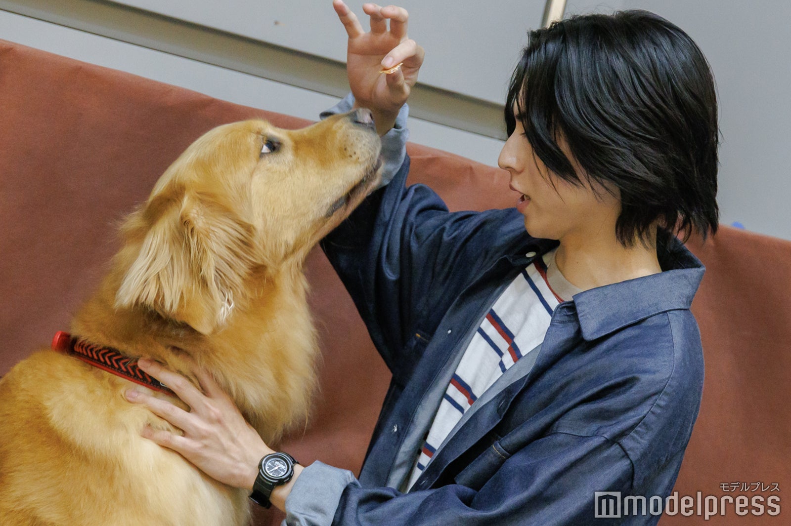 酒井大成 山崎まさよし サイン チェキ 三ツ矢先生の計画的な餌付け