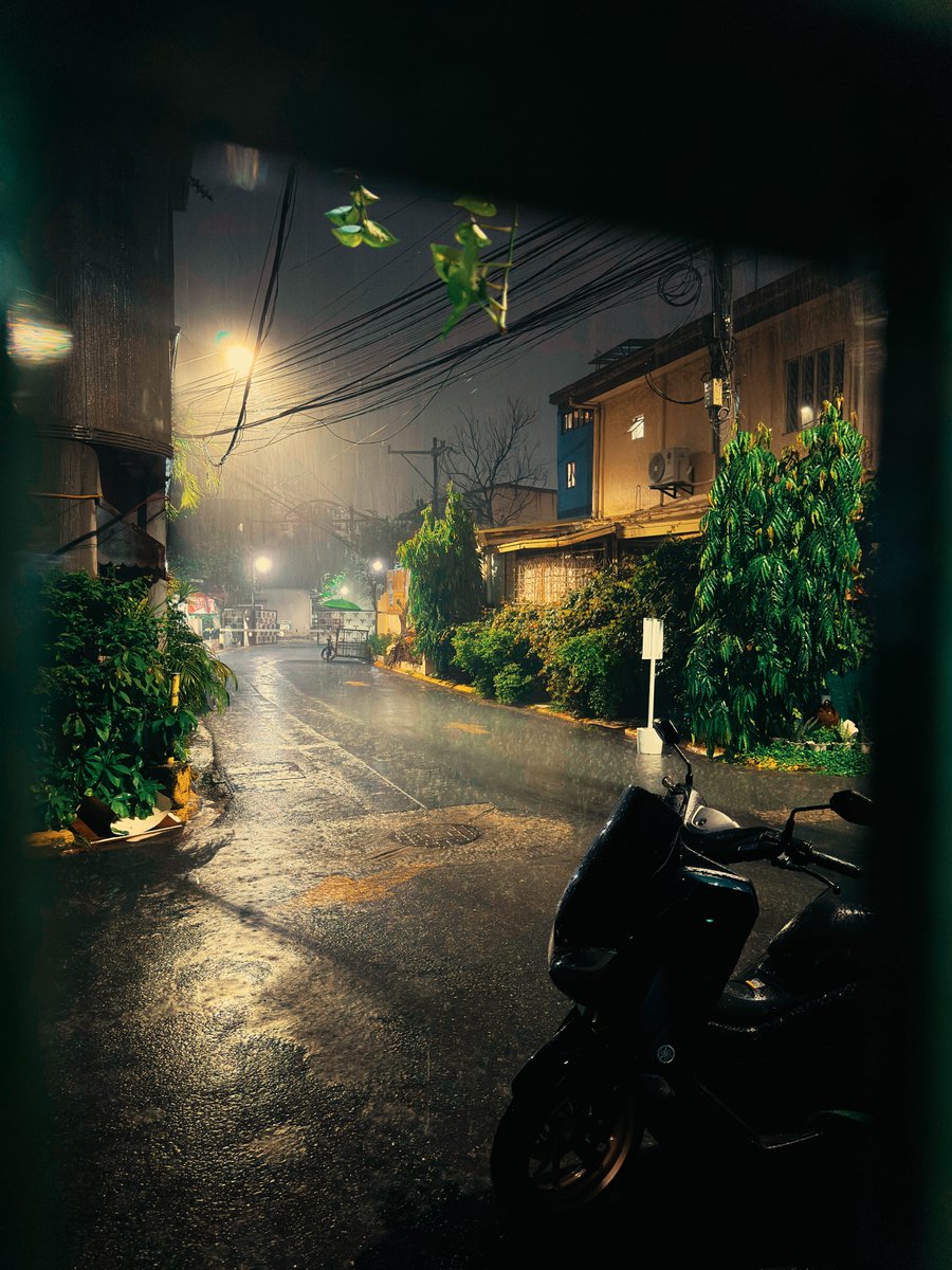 handromida's tweet photo. It's been raining in Manila, sarap ng ligo ni Handromida

#PhotographyIsArt 
#lightroom
#iphonephotography https://t.co/DulURtuvOU