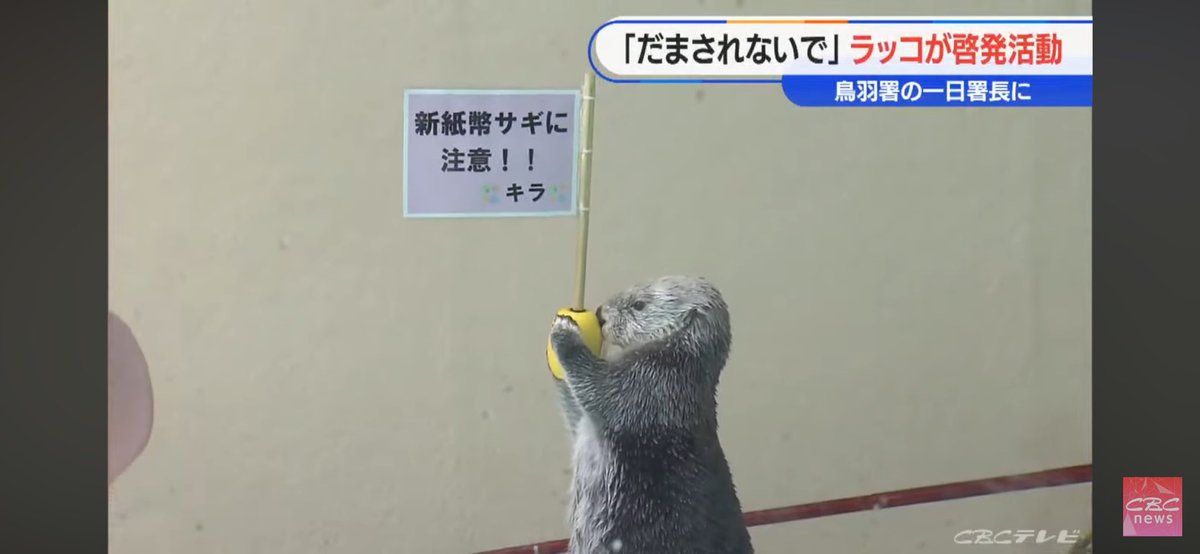 cyph01's tweet photo. YouTubeに上がってるラッコ詐欺関連ニュースをひととおり見た ラッコが特殊詐欺の啓蒙活動をしてる、それだけでなぜこんなに面白いのか https://t.co/ToWUU82kJY