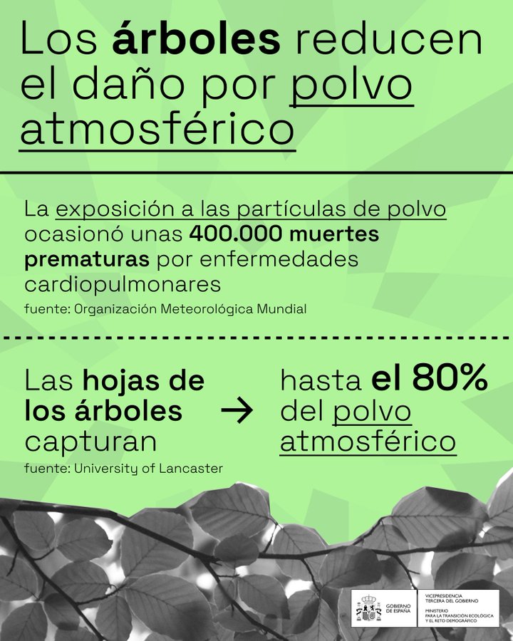 mitecogob's tweet image. Los árboles pueden capturar hasta un 80% del polvo atmosférico 🌳

► La exposición a partículas de polvo provoca enfermedades respiratorias y cardiovasculares

La calidad del aire que respiramos 
 » es una cuestión de salud pública