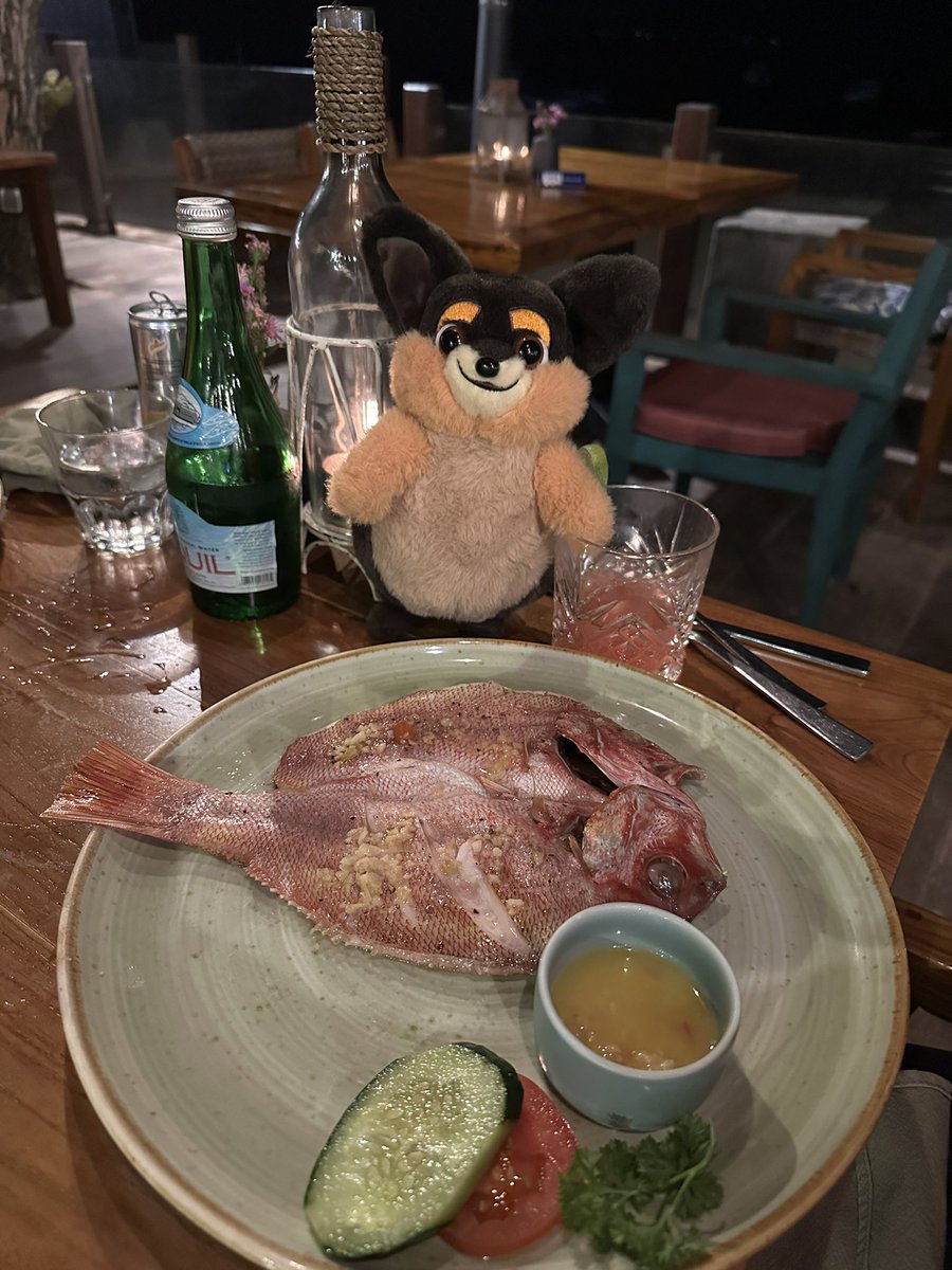 SchlatterMP's tweet photo. Murpfi vs. Red Snapper 1:0 @migros https://t.co/yA3jRM3Fdz