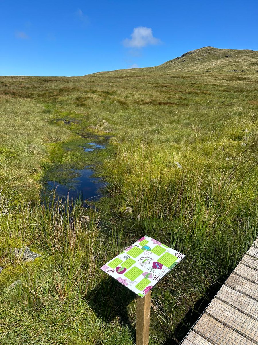 Look out for our new signs near Black Hut 👀  You can find lots of interesting peatland facts midway along the boardwalk, as well as an abundance of carnivorous sundew 🌿😍