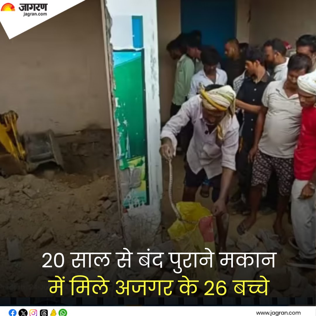 JagranNews's tweet photo. https://t.co/vUstYRUIng || Basti News: 20 साल से बंद पुराने मकान में मिले अजगर के 26 बच्चे, JCB से करानी पड़ी खोदाई
#BastiNews #JCB #PythonBabies https://t.co/EzDn2FLdnz