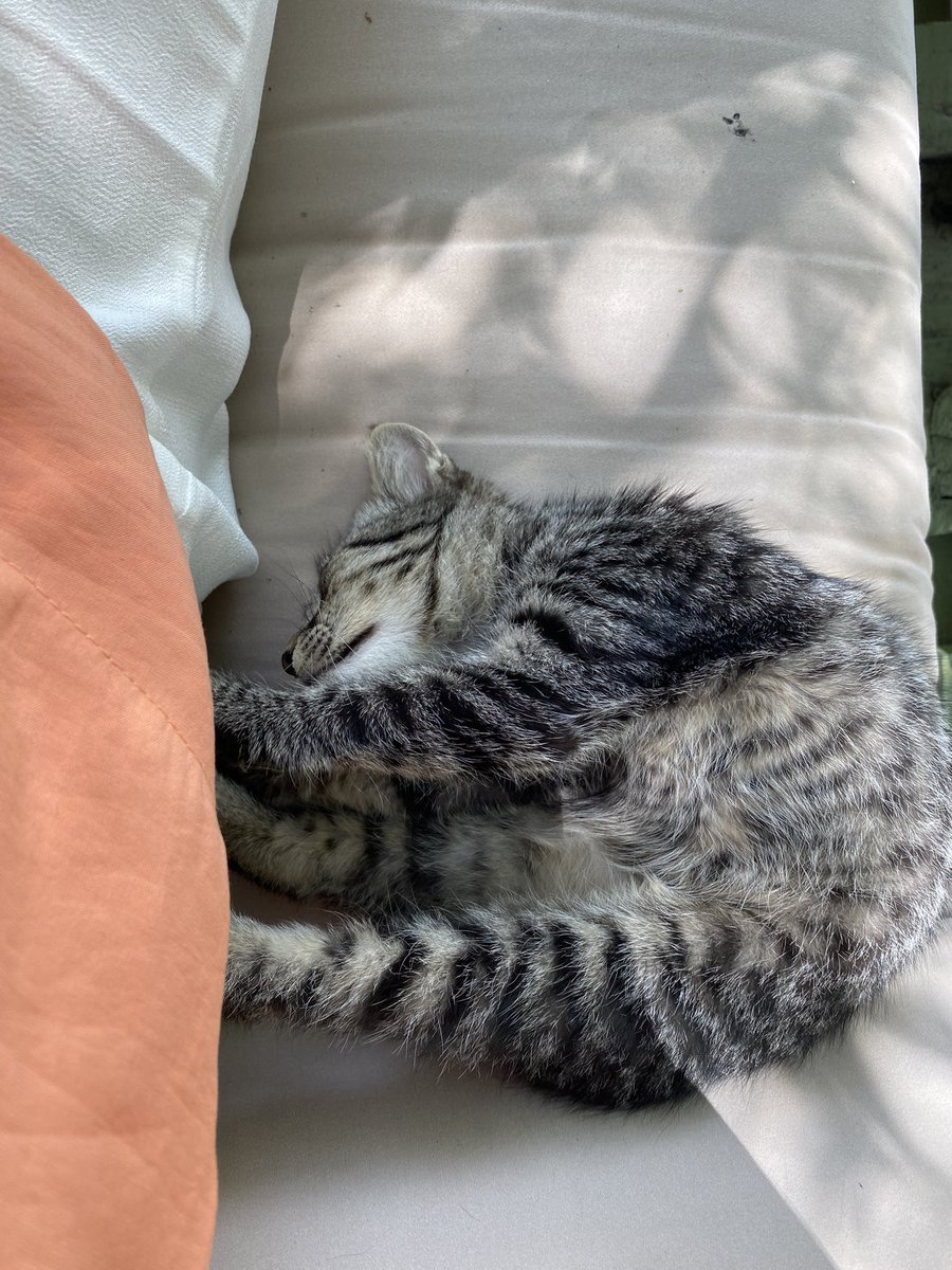 aydı mı günümüz