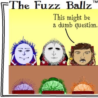 ballz_the's tweet image. #theFuzzBallz 072424 Dumb Questions 
#dumbquestions #dumbexpectations #usedtoit #dontworry #newboss #questions