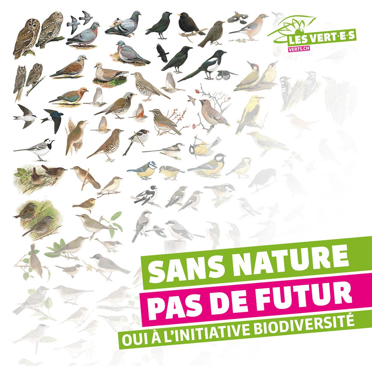vertsvs's tweet photo. Le 22 septembre, nous voterons OUI sur l’initiative biodiversité 🤝🐝
@LesVertsSuisses https://t.co/ZblavLkDeq