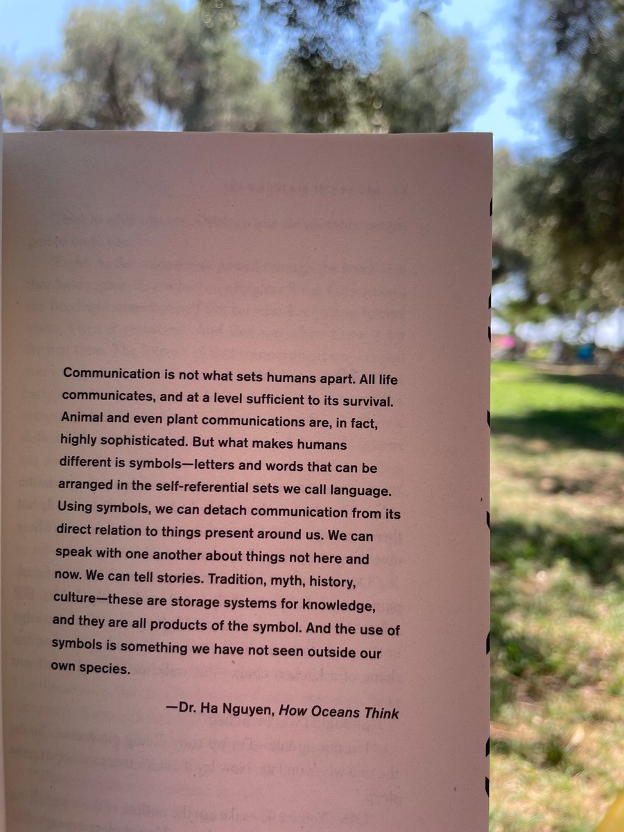 I've been eager to read "The Mountain in the Sea" by Ray Nayler and finally brought it on holiday in Türkiye. It pleasantly begins with a depiction of Turkish tea, coffee, and breakfast culture, exploring themes of communication, intelligence, and octopuses—so good!