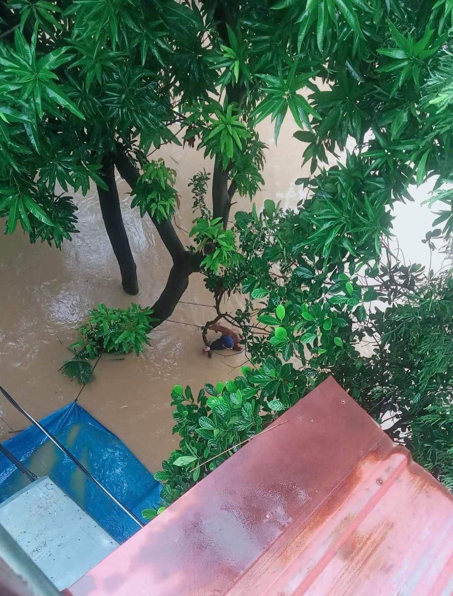 gemmyyoingco's tweet photo. Parescue naman po sa may 7 ayungin st. Brgy Stoniño kanina nakakapit si boss sa puno kasama niya alaga niyang aso. Marikina City Rescue 161

#CarinaPH #RescuePH https://t.co/3iw3WQeoAB
