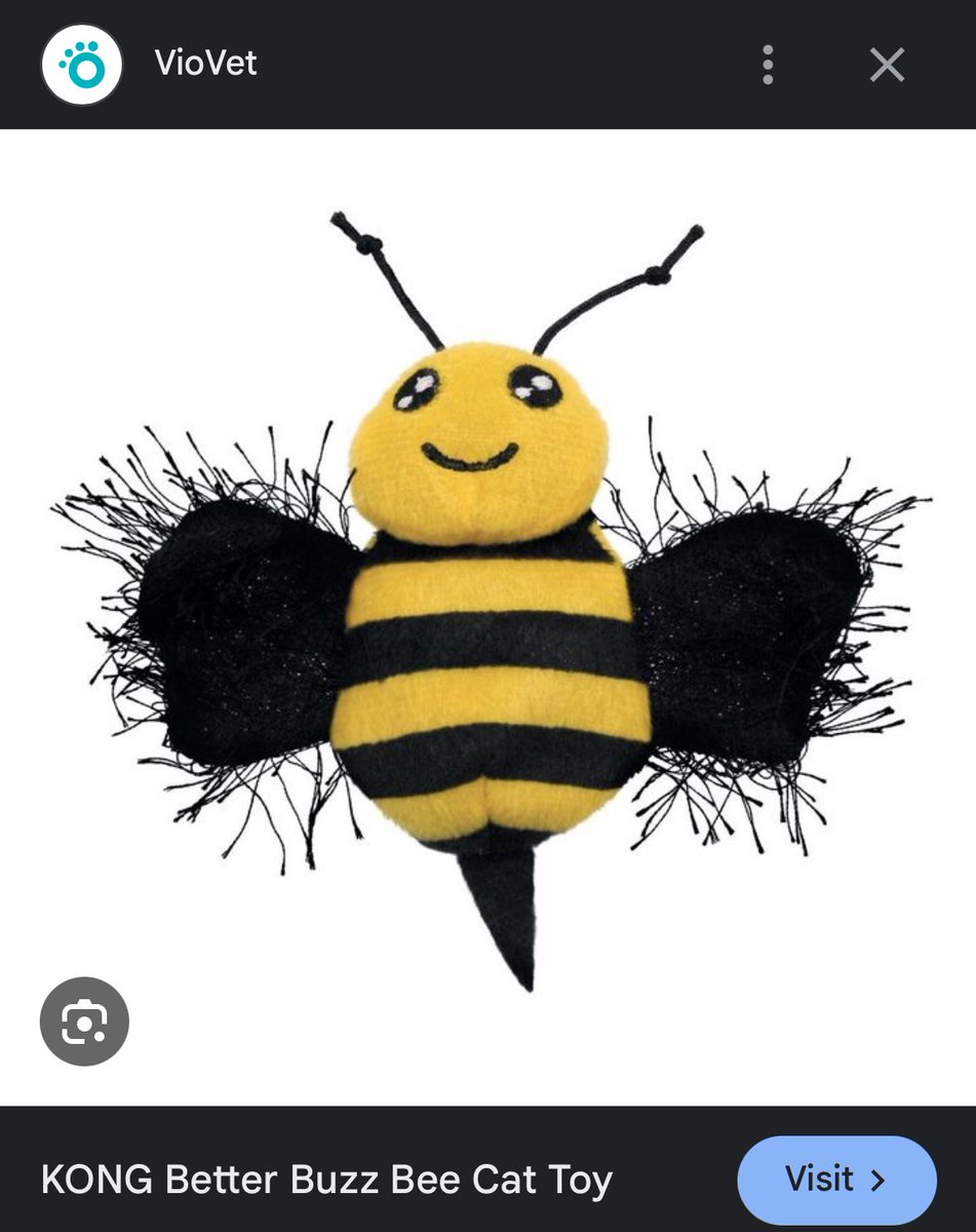 imasleeporami's tweet photo. tell me why my life has now become bulk ordering better buzz bees bc apollo breaks them every few months and if he keeps the broken ones he eats the plastic.

you are the bane of my existence and the object of all my desires. https://t.co/kh5wubE8e3