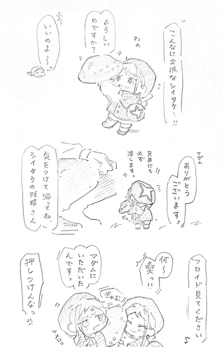 シイタケの妖精🧚