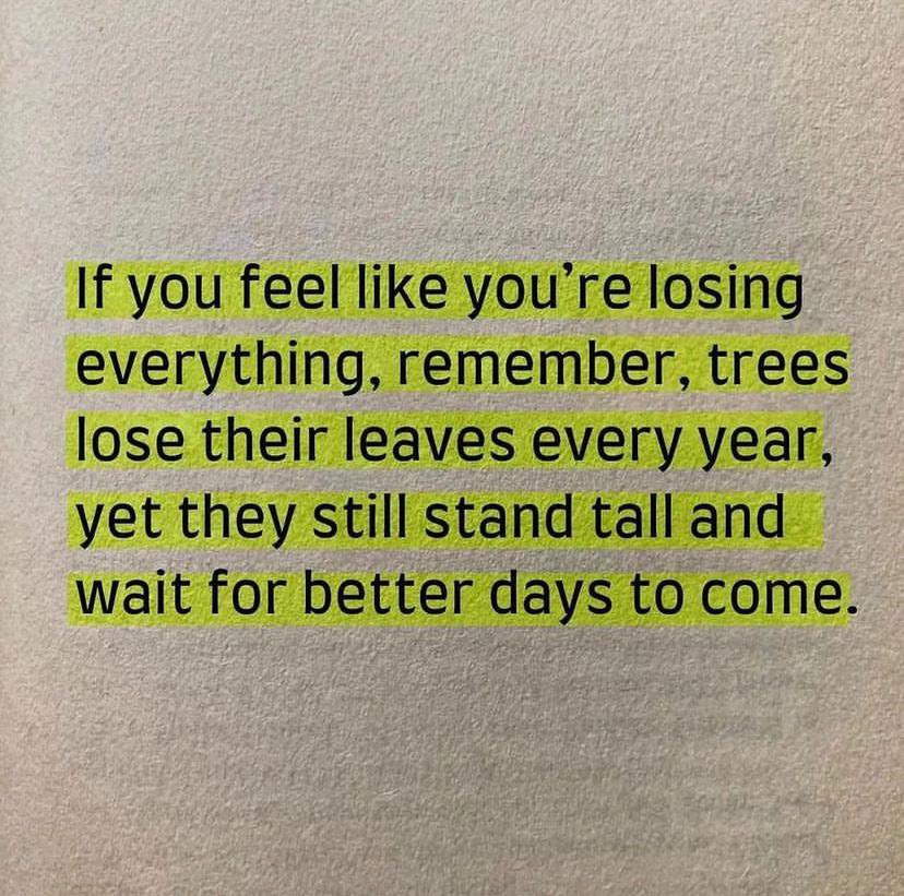 Anna SLT tweet media