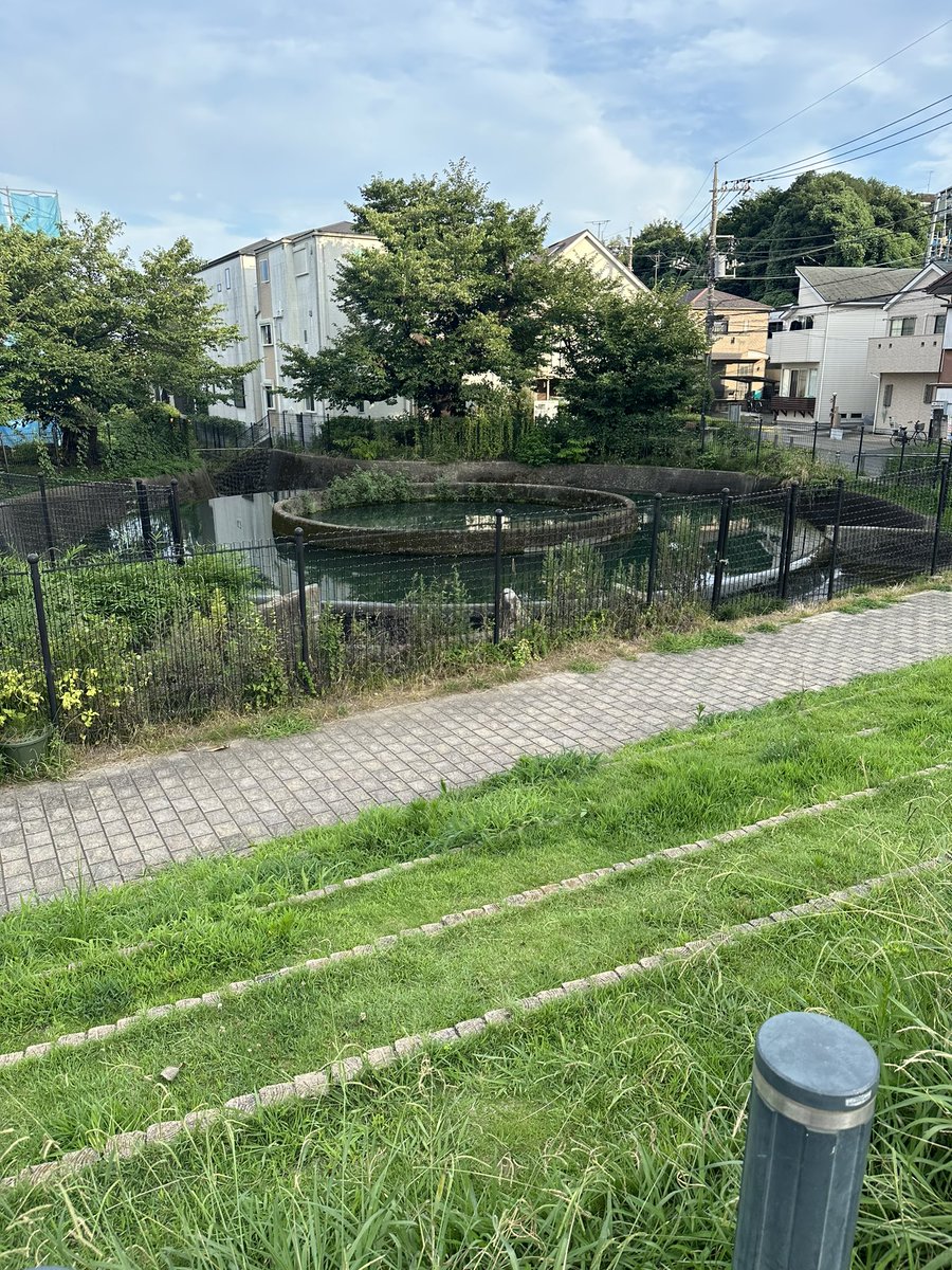 久我新悟(LIPHLICH/バンド活動休止中/ ソロ活動中) (@LIPHLICH_KUGA