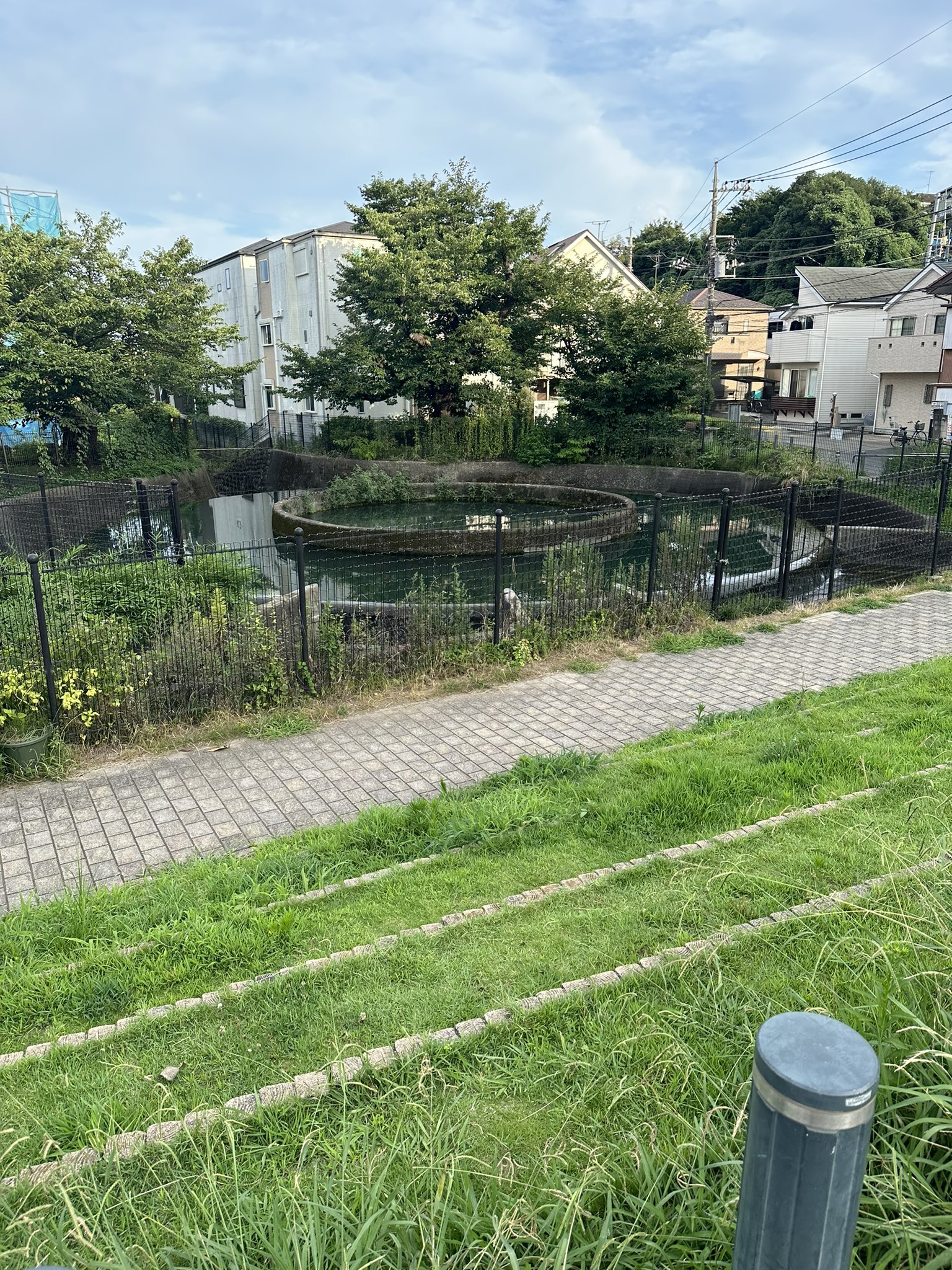 久我新悟(LIPHLICH/バンド活動休止中/ ソロ活動中