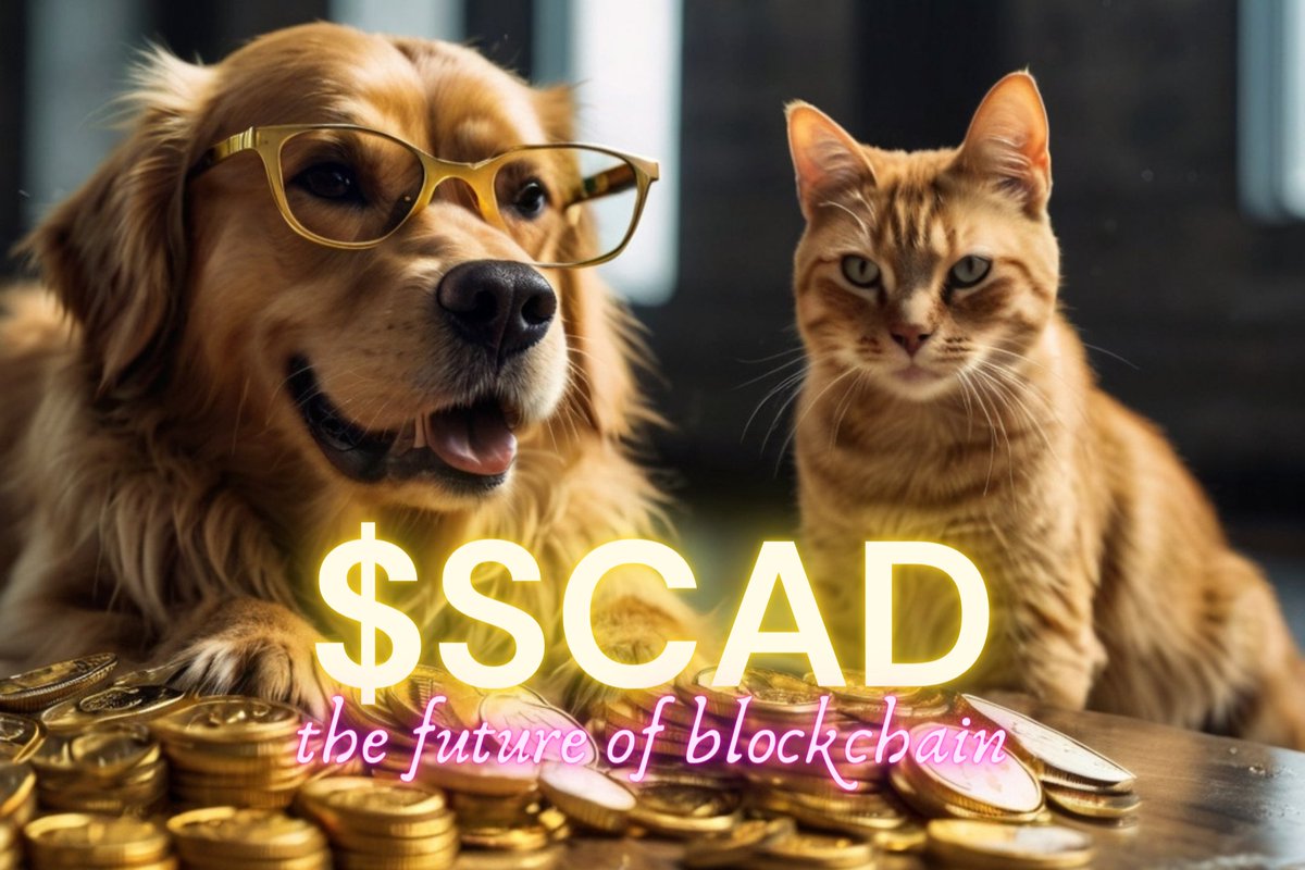 HaroldNiyo24154's tweet photo. @SolScad we move on without looking back $SCAD to the sun.
#SCADMemeContest https://t.co/72VGi7rwNt