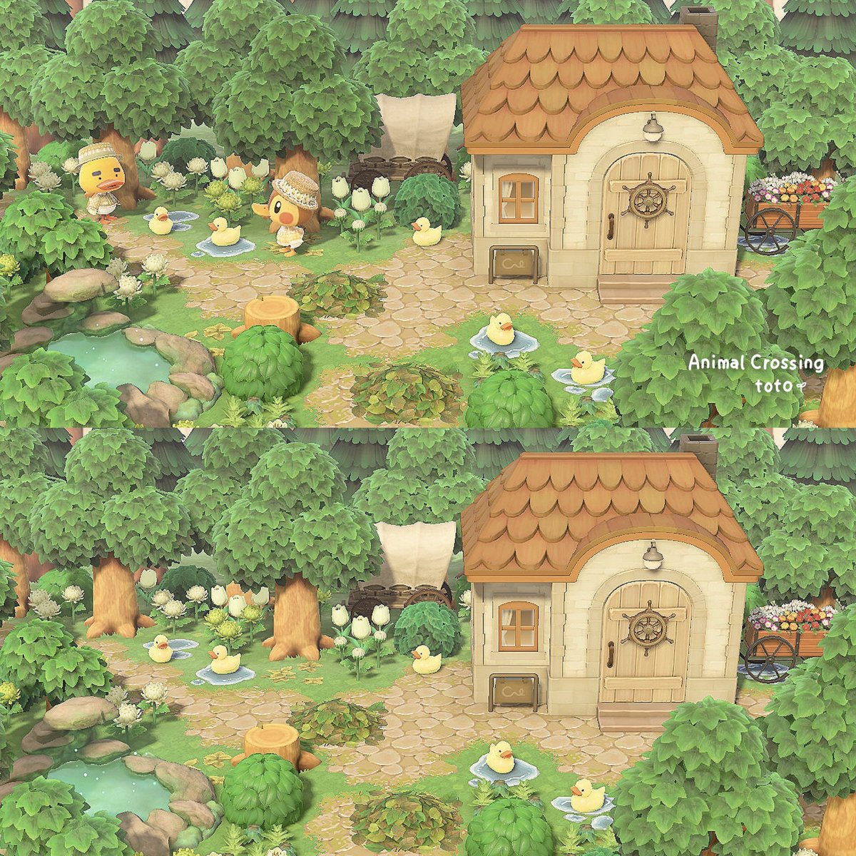pokemori_toto's tweet photo. 森の暮らし🌳🐤🐤
アルバム整理中です🍃

#あつ森 #あつ森写真部
 #animalcrossing #acnh https://t.co/MWszdfDAco