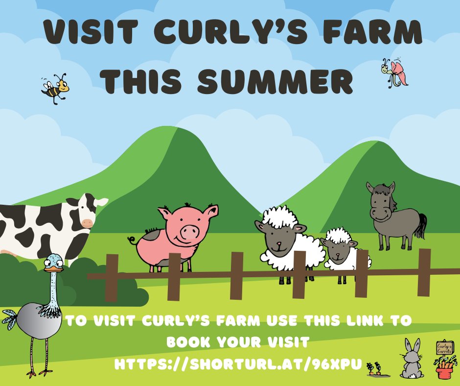 Visit Curly's Farm this Summer Holiday

With the weather forecast looking good for the next 10x days, make sure to book your visit before we are fully booked.

Use this link to book your visit shorturl.at/96xPu

Booking is essential. We are CLOSED EVERY THURSDAY.